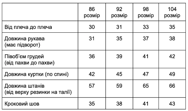 Зимовий дитячий комбінезон блакитний – турбота і затишок щодня 98 розмір 2 роки4